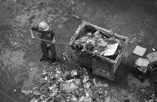 Organic waste being composted in South London